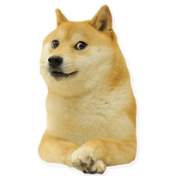 IMG_0060.png