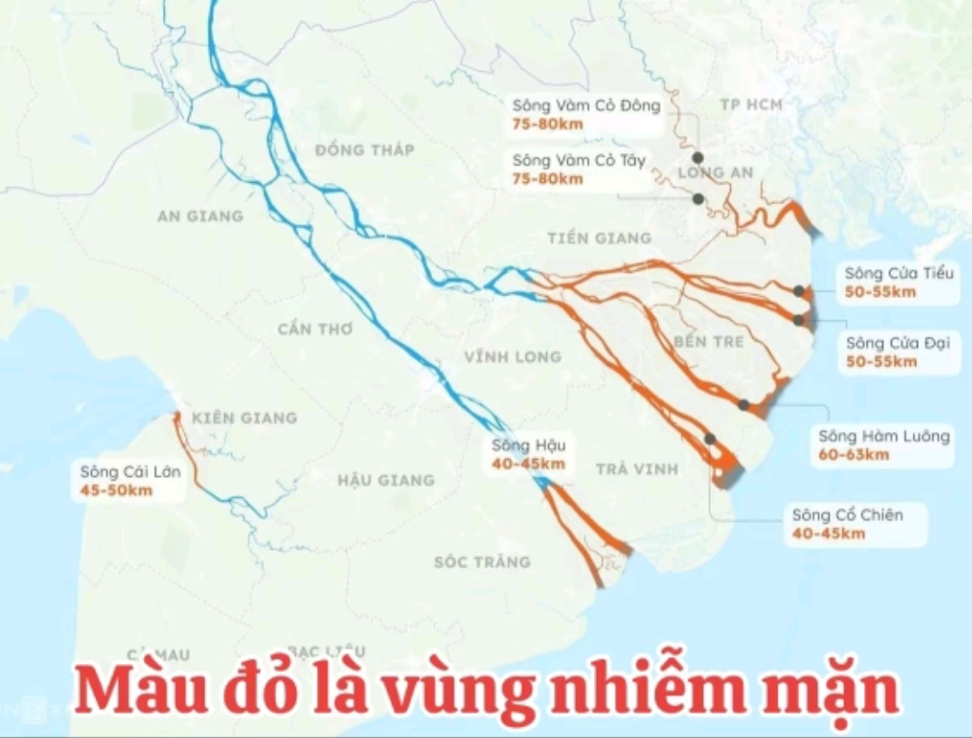 1000011829.jpg