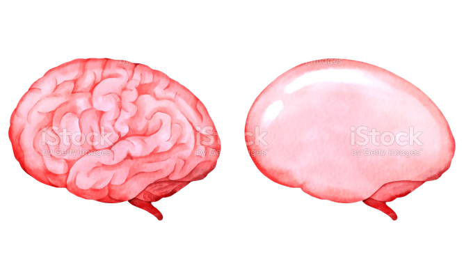 istockphoto-1452834313-2048x2048_preview_rev_1.png