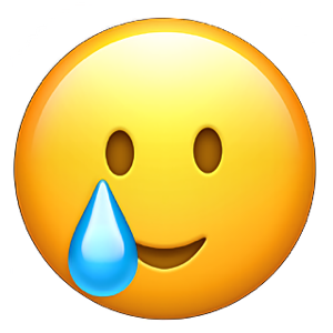 1741158834919.png