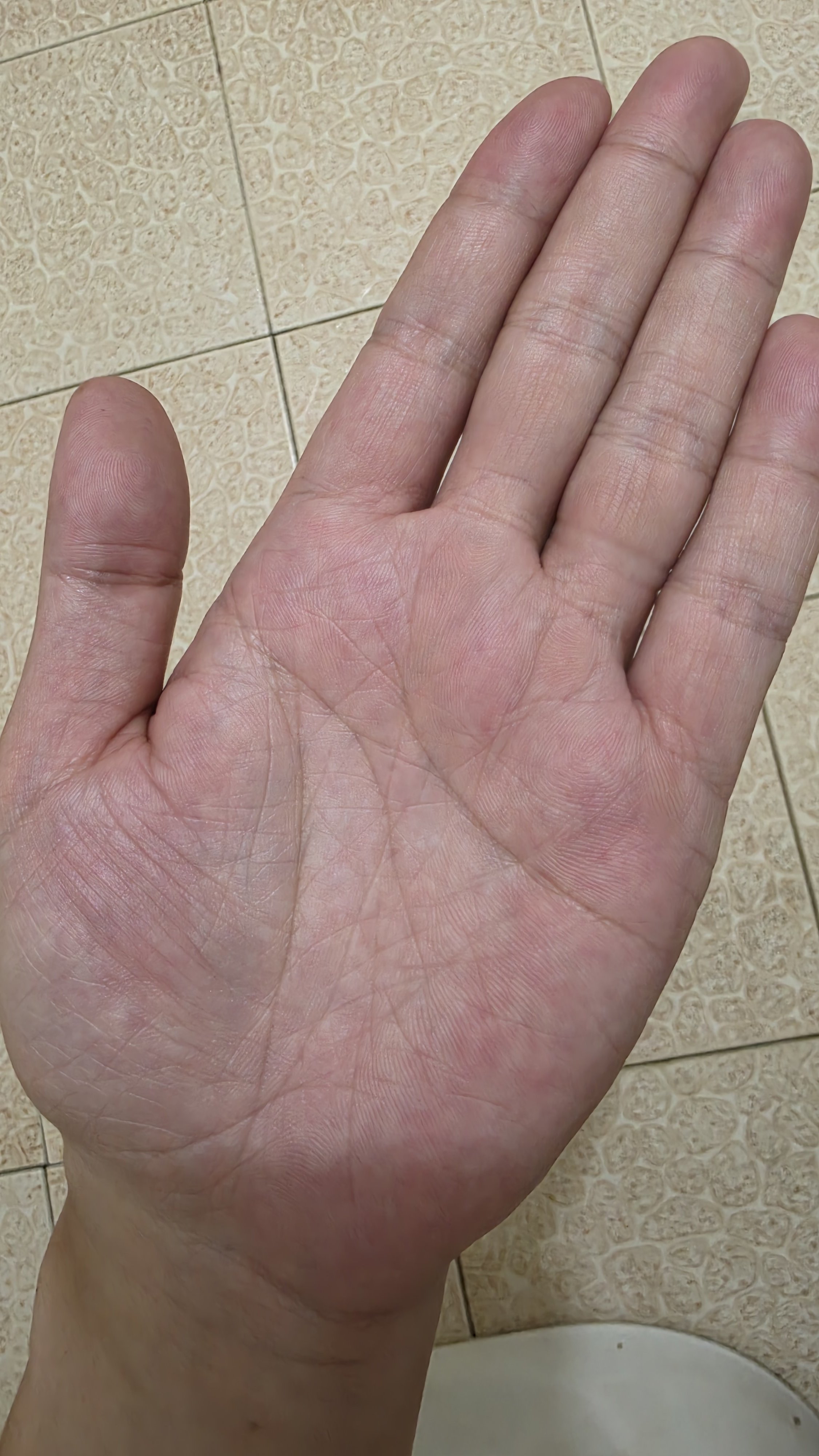 1000002554.jpg