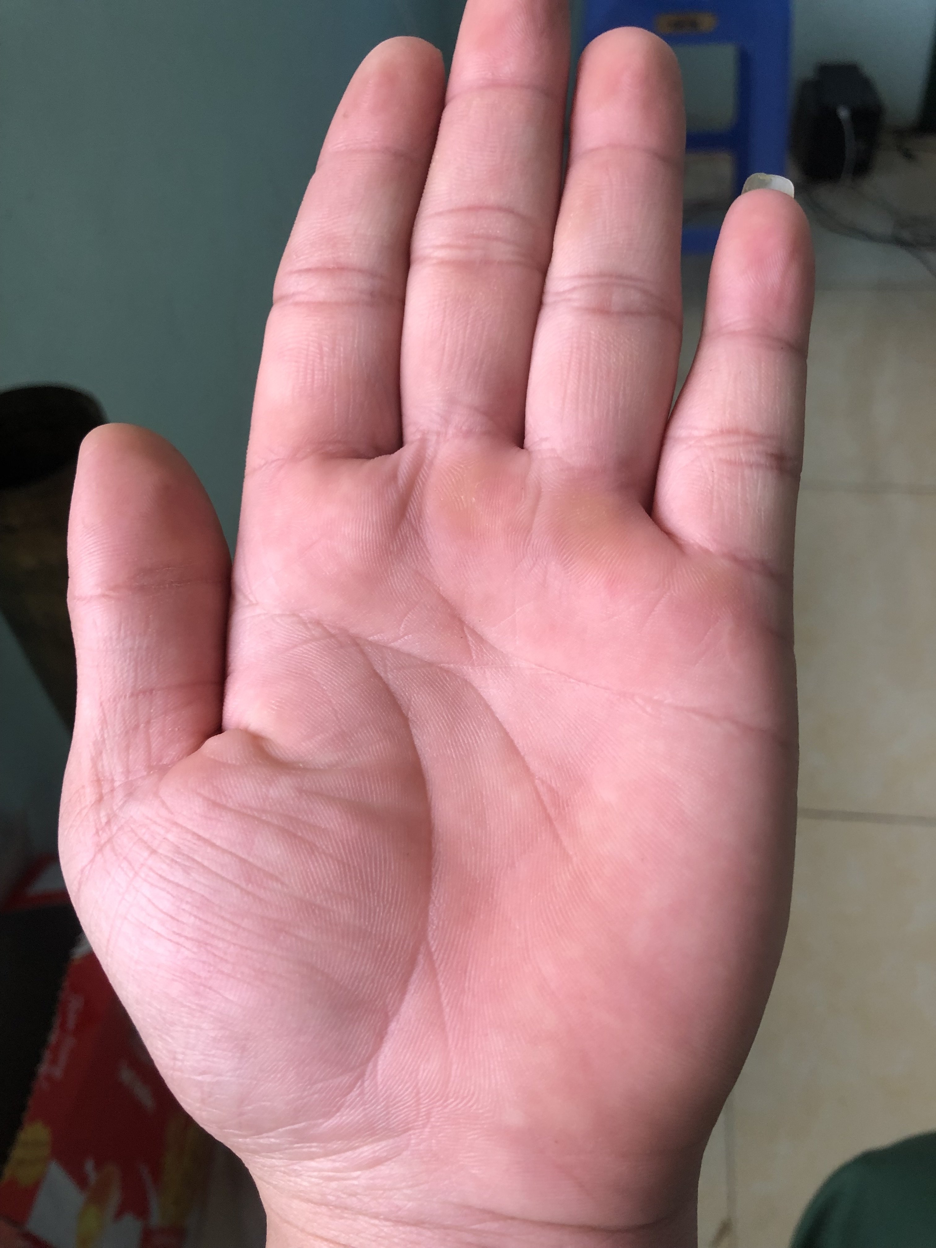 IMG_2553.jpeg