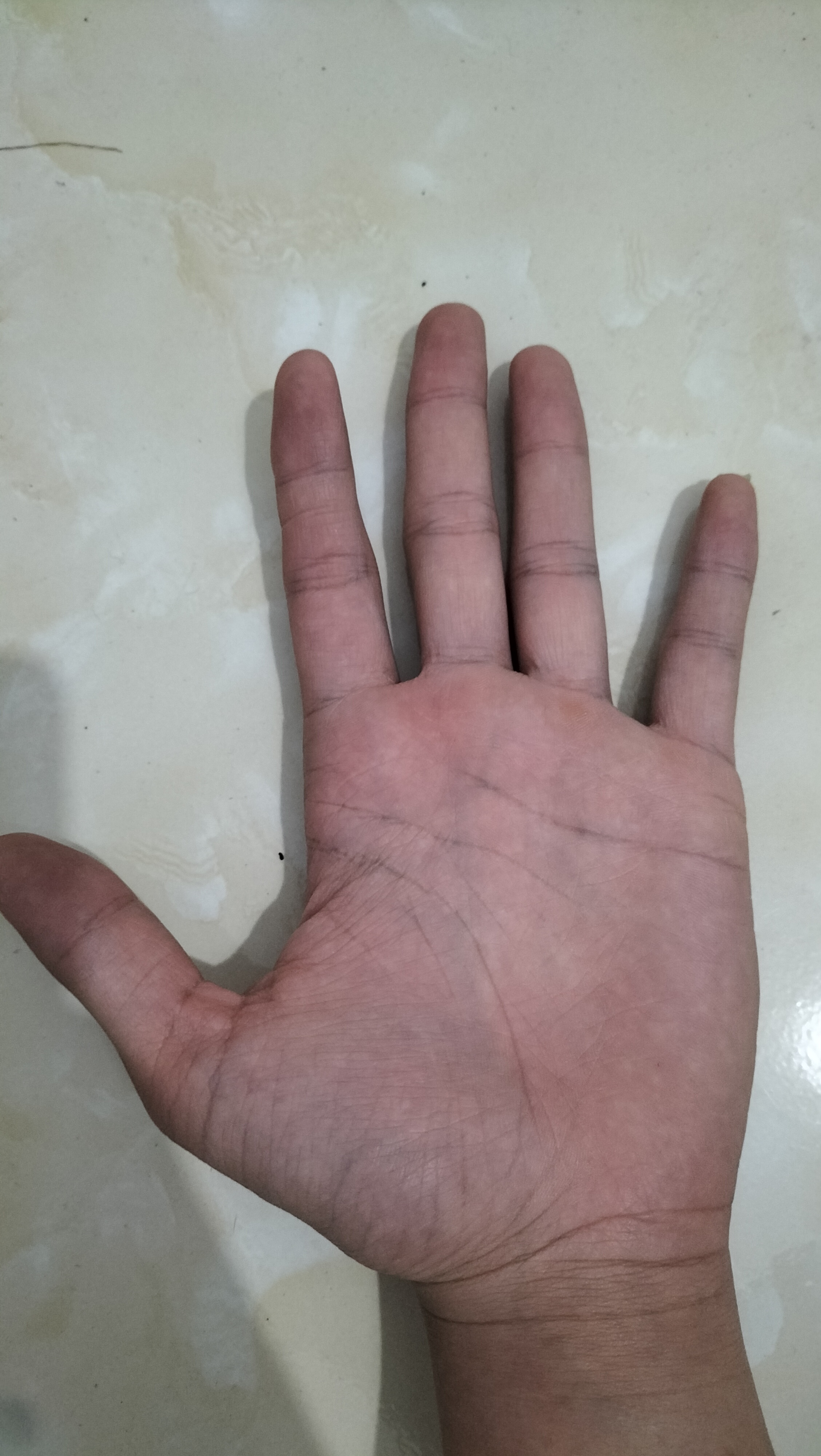 IMG20250715234219.jpg