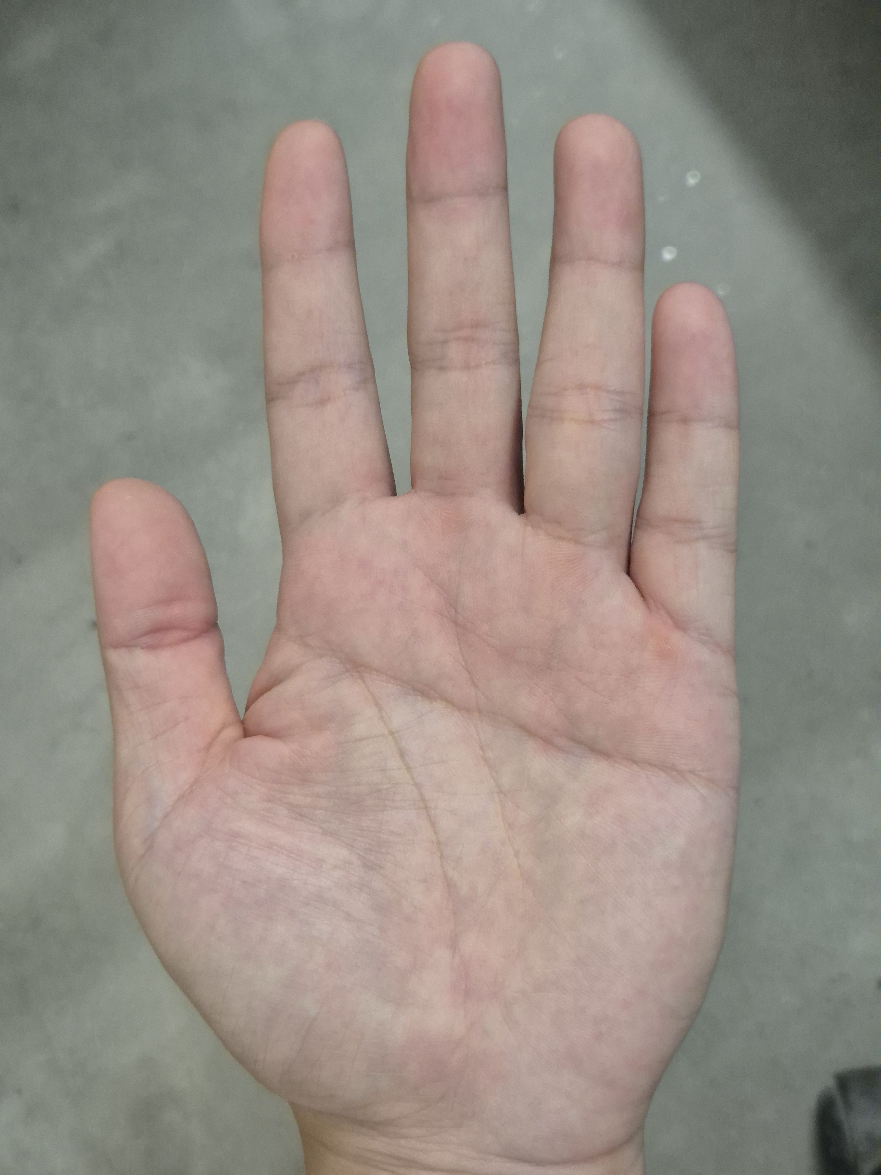 20250726_121712.jpg
