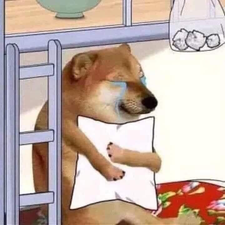 meme-cheems-khoc.jpg