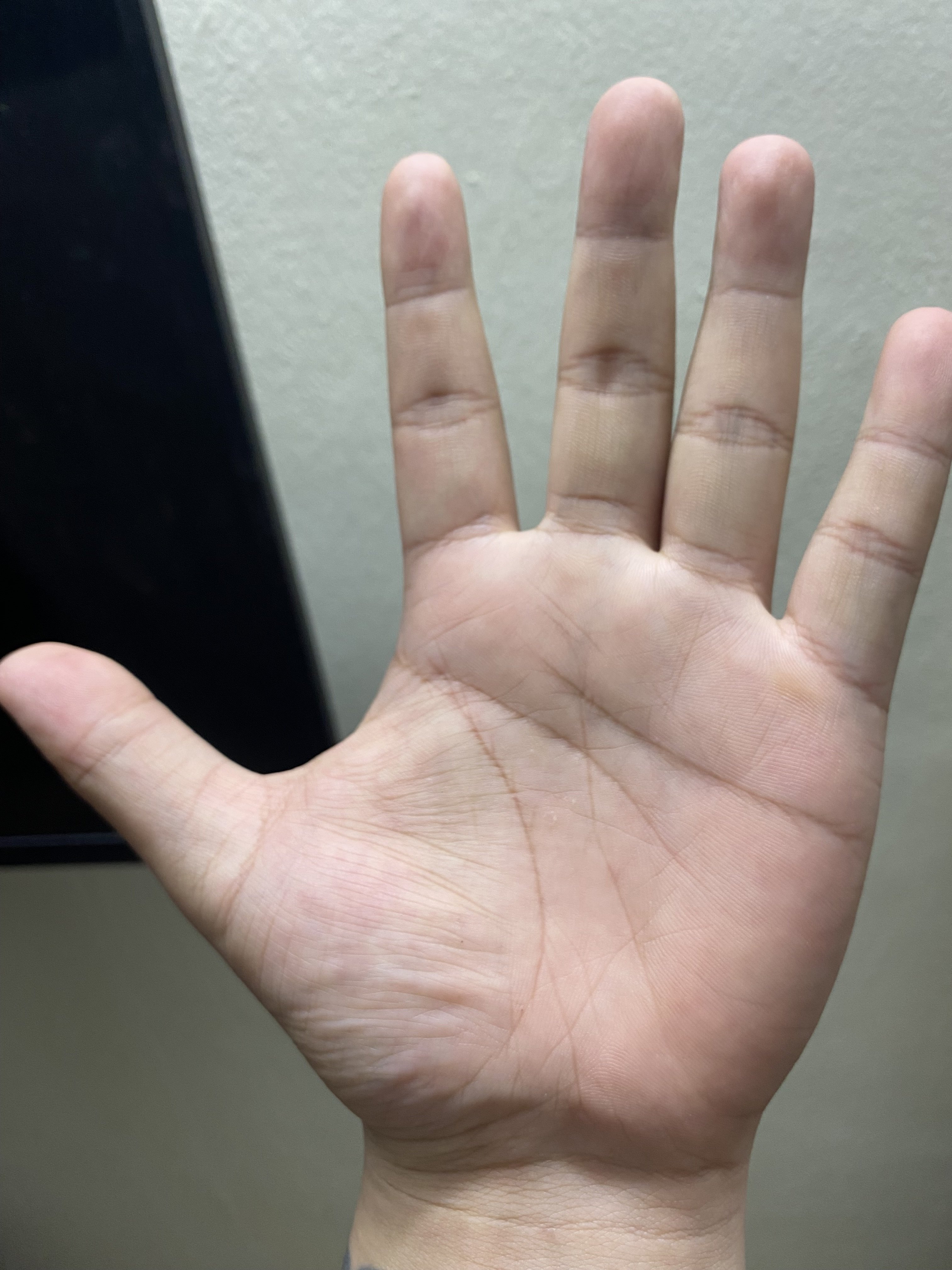 IMG_0200.jpeg