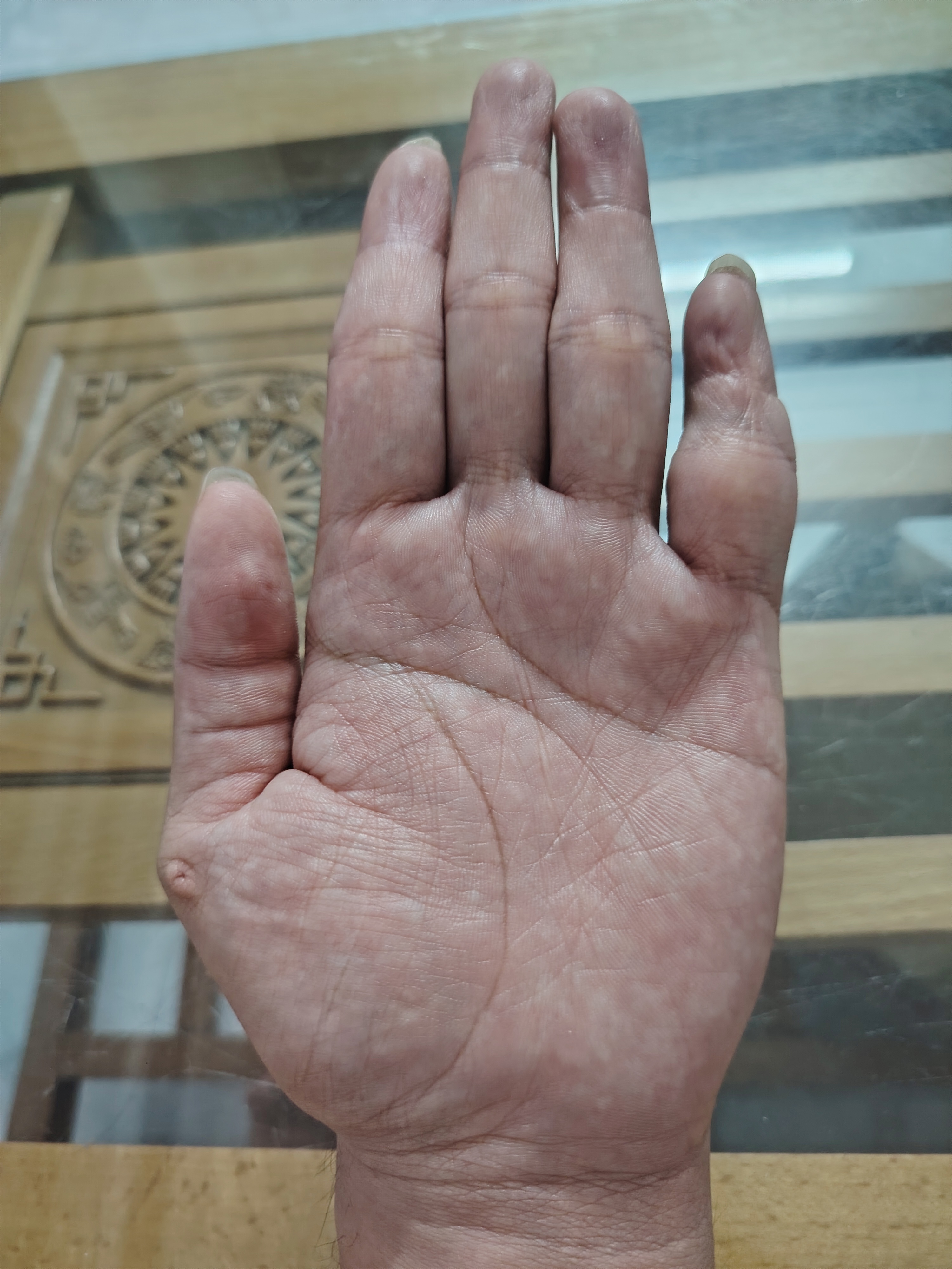 1000004194.jpg