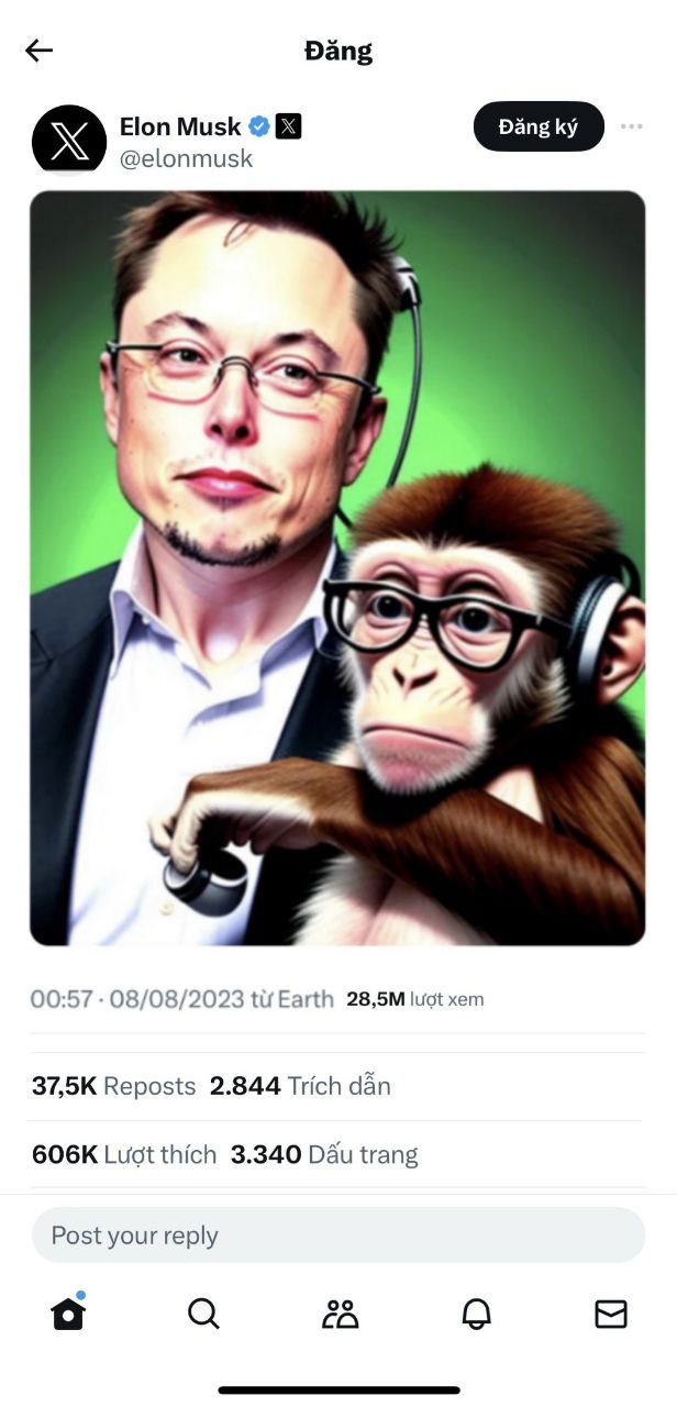 1691550245720.png