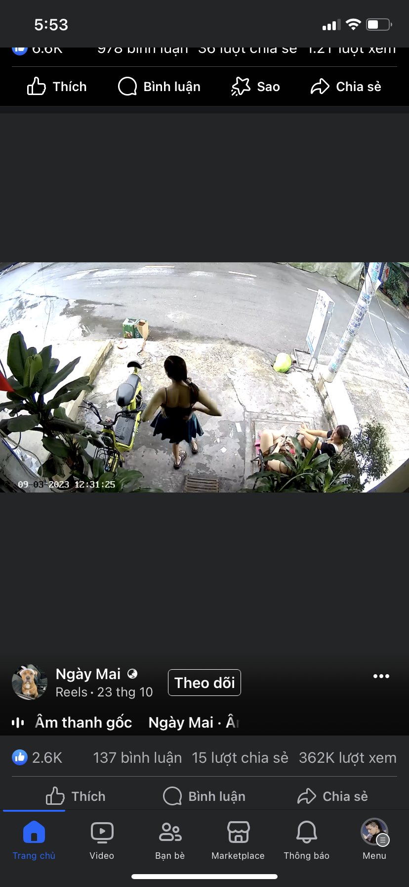 IMG_0975.png
