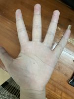 IMG_5107.jpeg