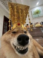 IMG_2415.jpeg